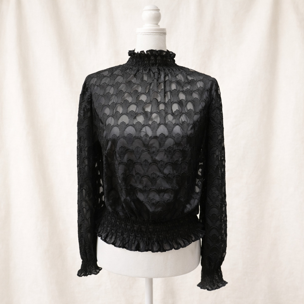 Blāshe L Gothic Dark Academia Lace Blouse  Romantic Victorian Sheer Ruffle Top